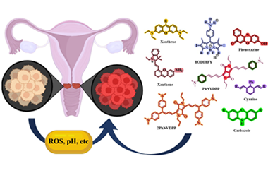 Cervical cancer imaging with organic small molecule NIR fluorophores: Design strategies and biomedical applications 2025.100813
